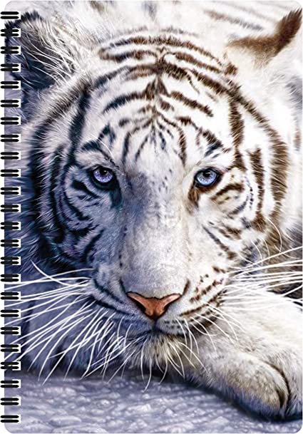 3D LiveLife Notebooks - White Tiger Repose
