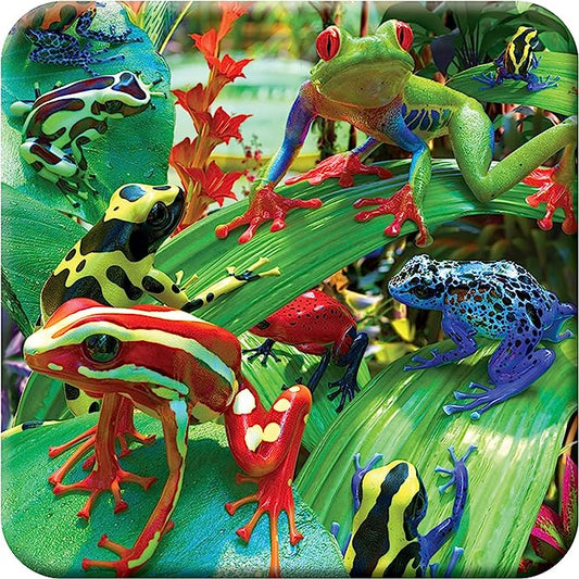 3D LiveLife Coasters - Funky Frogs