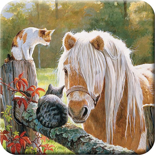 3D LiveLife Coasters - Just Visiting