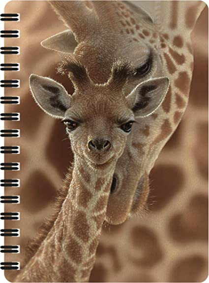 3D LiveLife Jotters - Newborn