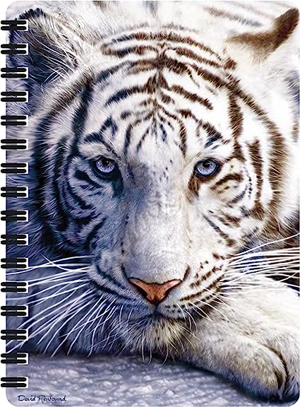 3D LiveLife Jotters - White Tiger Repose