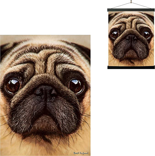 3D LiveLife Pictures - Pug