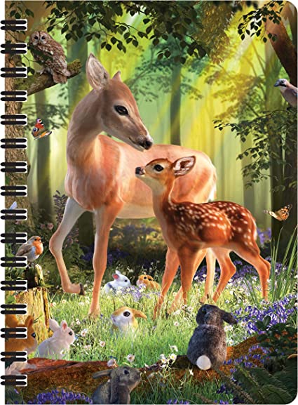 3D LiveLife Jotters - Deer at Dawn
