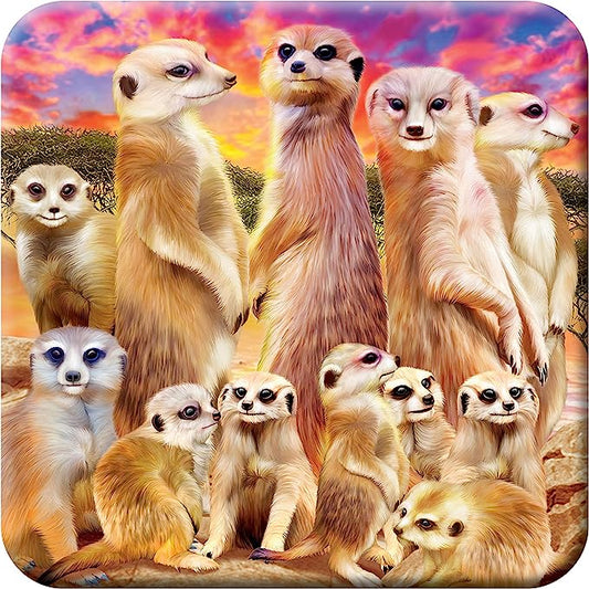 3D LiveLife Coasters - Cool Meerkats