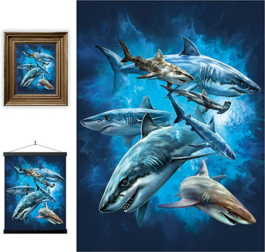 3D LiveLife Pictures - Shark Swim