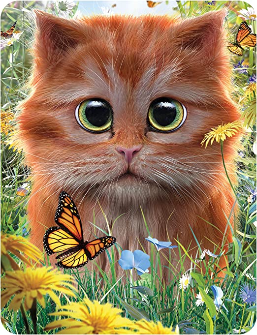 3D LiveLife Magnets - Ginger Kitten