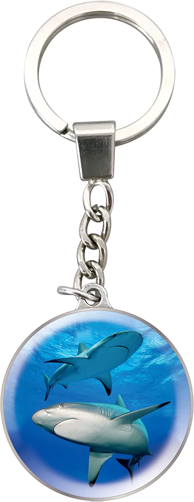 Magnidome Keychains - Shark