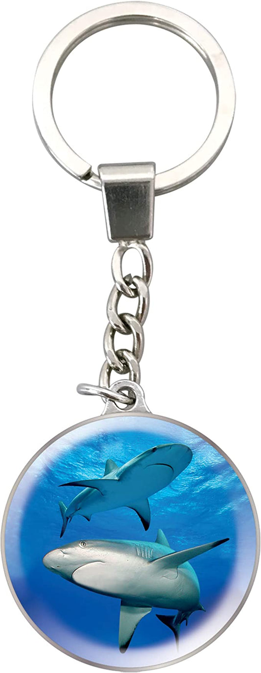 Magnidome Keychains - Shark