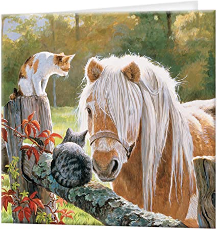 3D LiveLife Greetings Cards - Just Visiting